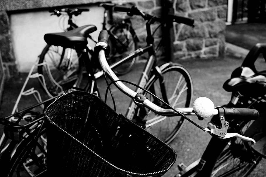 Cycle, Basket, Wheel, park, cycle basket, staring wheel, bicycle HD wallpaper