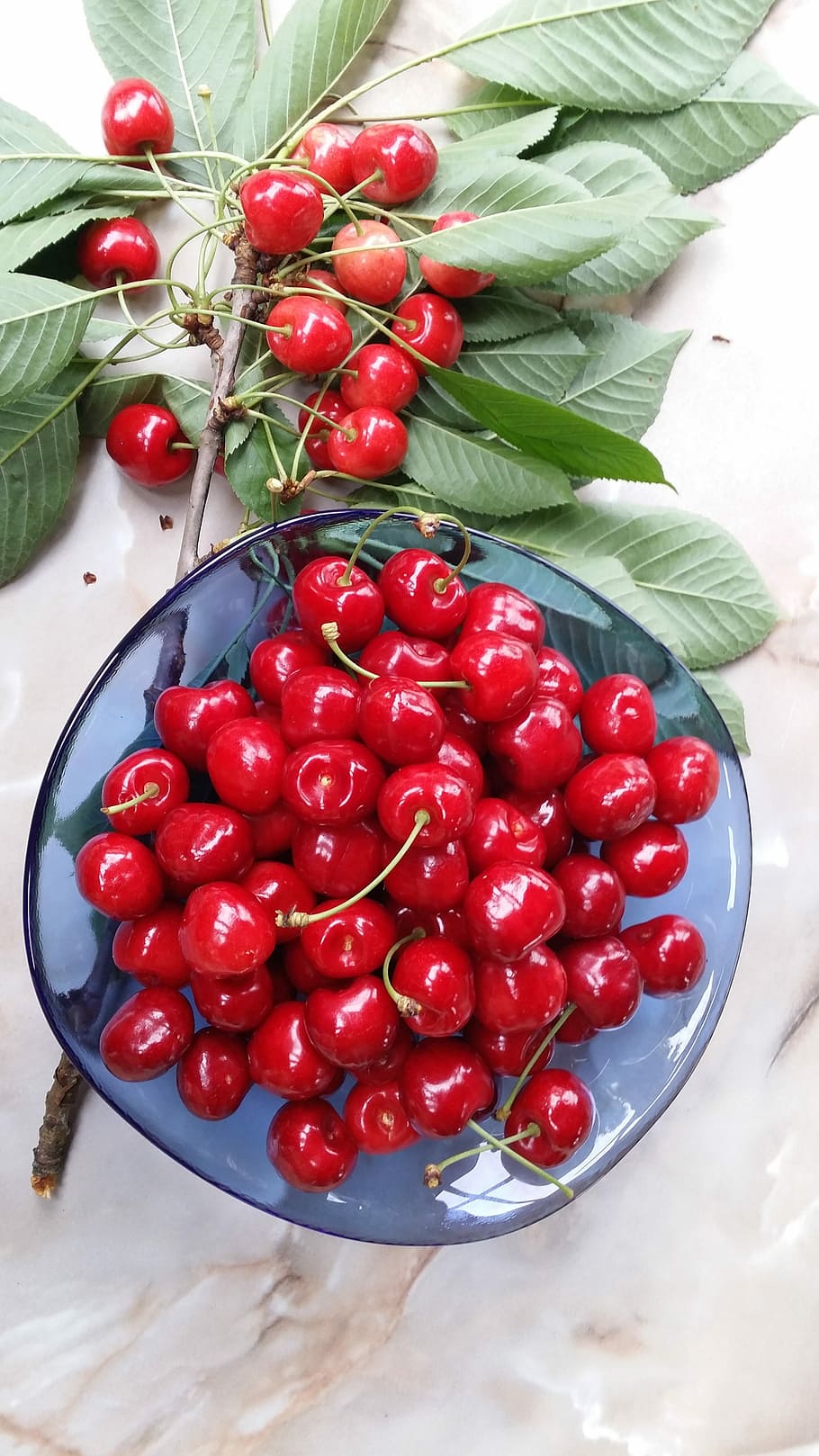 Cherries, Summer, Tree, red, freshness, food and drink, healthy eating HD wallpaper