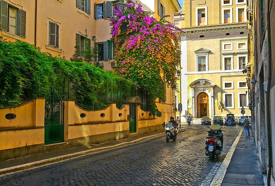 rome, motorcycle, italy, italian, flower, tree, old, city, urban, HD wallpaper
