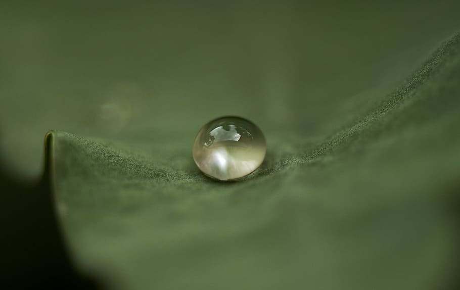 micro photograph of water sprout on leaf, drop, droplet, flora HD wallpaper
