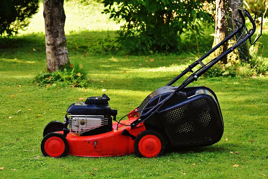 red and black push mower on grass field, lawn mower, gardening