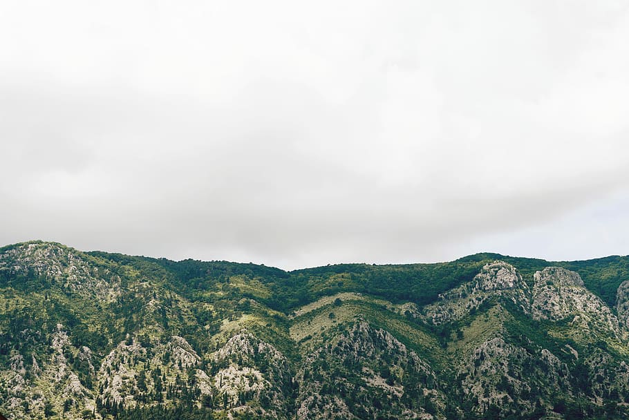 trees and grass covered mountain, landscape photography of green highlands HD wallpaper