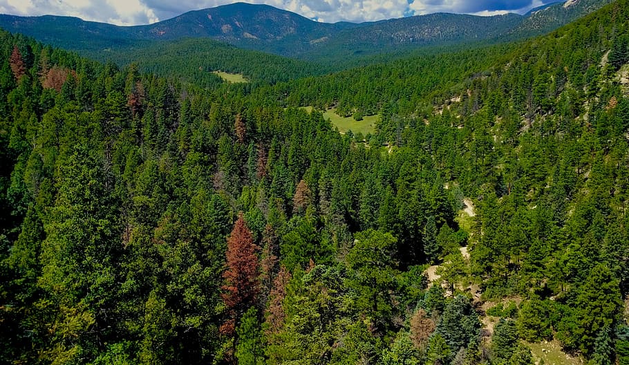 nature, valley, trees, landscape, outdoor, summer, nature landscape HD wallpaper
