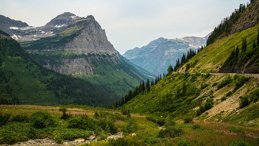 landscape photography of mountains, front, green, trees, grass HD wallpaper