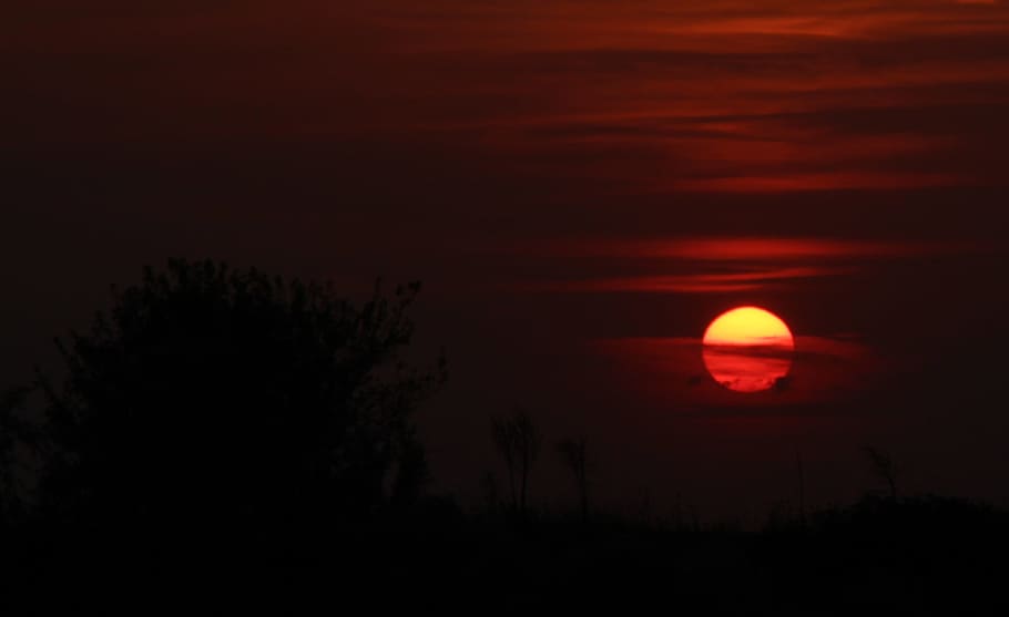 sunset, sky, cloud, red, in the evening, plant, night, nature HD wallpaper