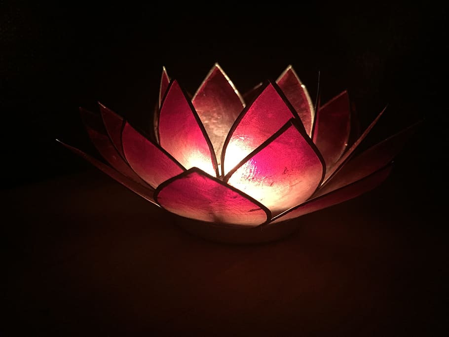 lotus, candle, light, studio shot, close-up, black background HD wallpaper