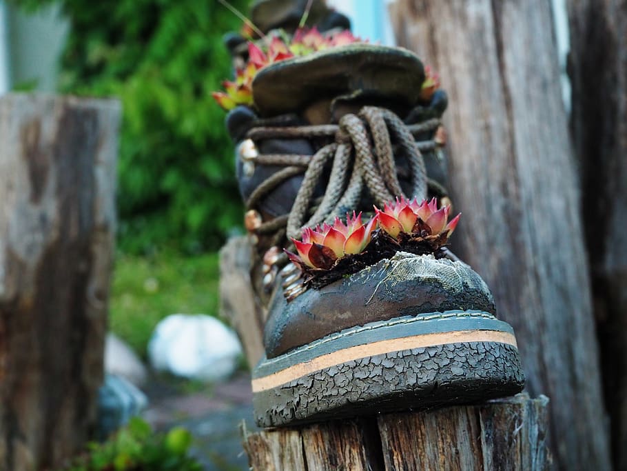 old, shoe, boots, wood - material, day, no people, focus on foreground HD wallpaper