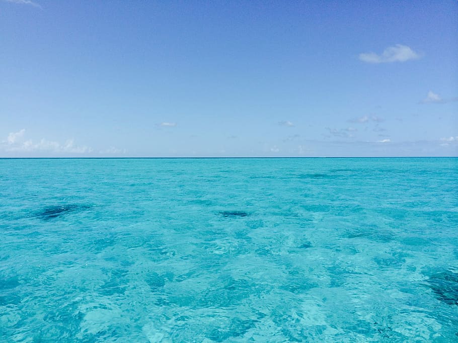 clear ocean at daytime, Bahamas, Ocean, Water, sea, horizon over water HD wallpaper