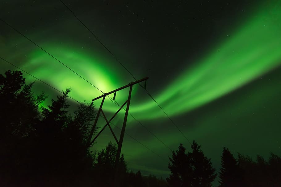 aurora over tall trees and electric tower, silhouette of power line under green lights at night time HD wallpaper