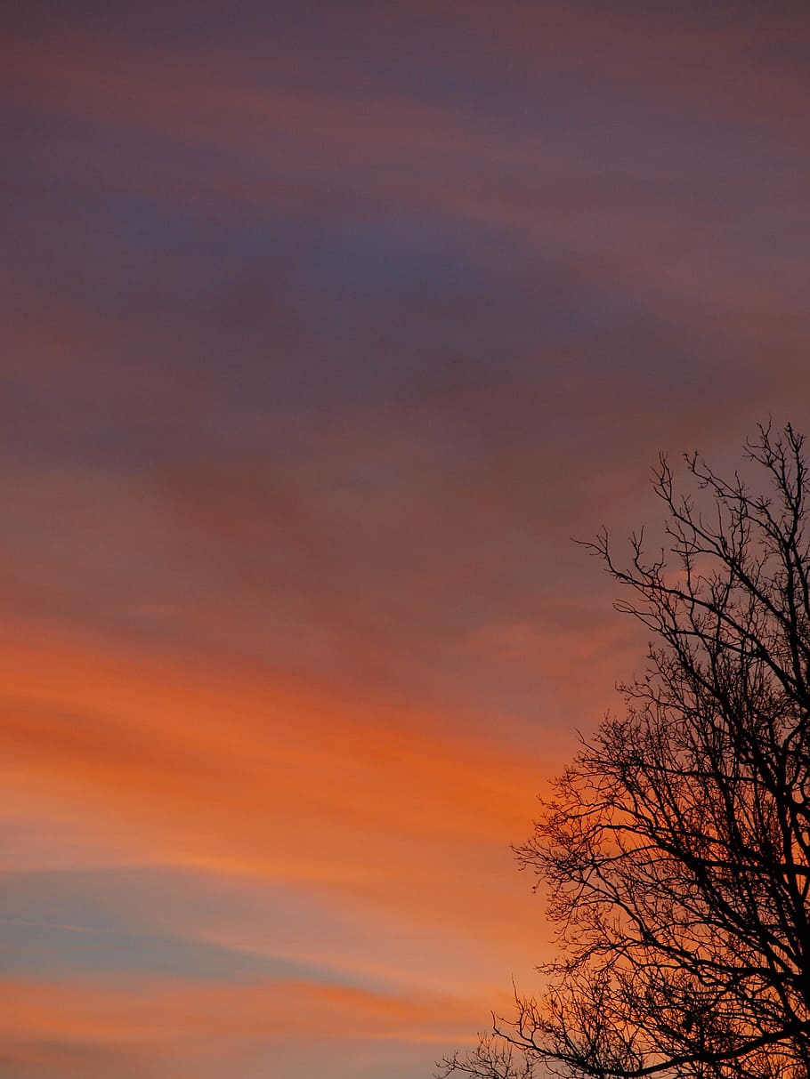 Aesthetic clouds, quote, signs, sky, sunset, HD phone wallpaper