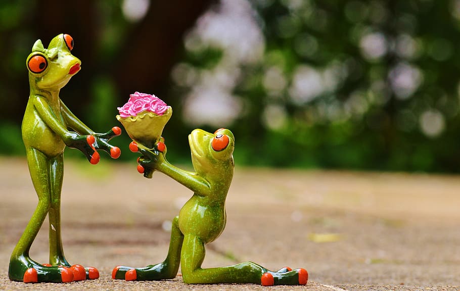 closeup photo of two green frogs holding pink flower bouquet figurine