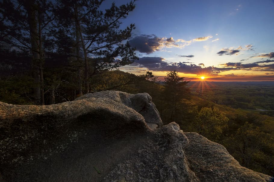 gray rock near the tree during golden hour, sunset, mountain HD wallpaper