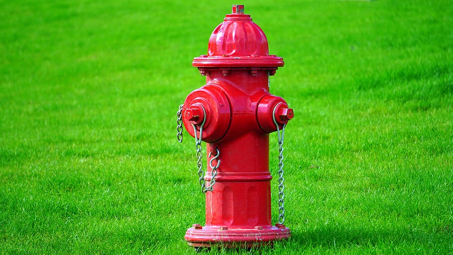 red fire hydrant, nature, green, grass, green color, plant HD wallpaper