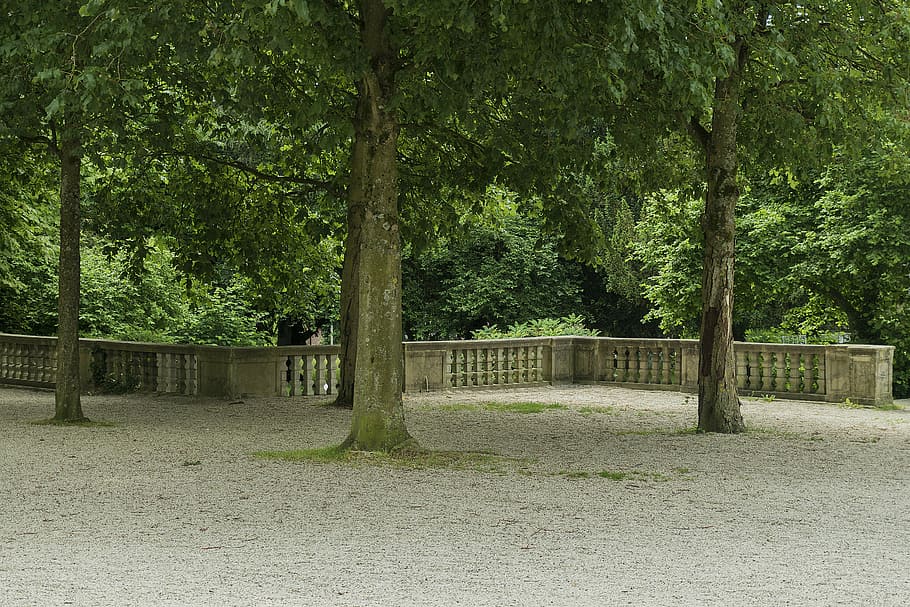 landscape, park, tree, plant, growth, green color, nature, day HD wallpaper