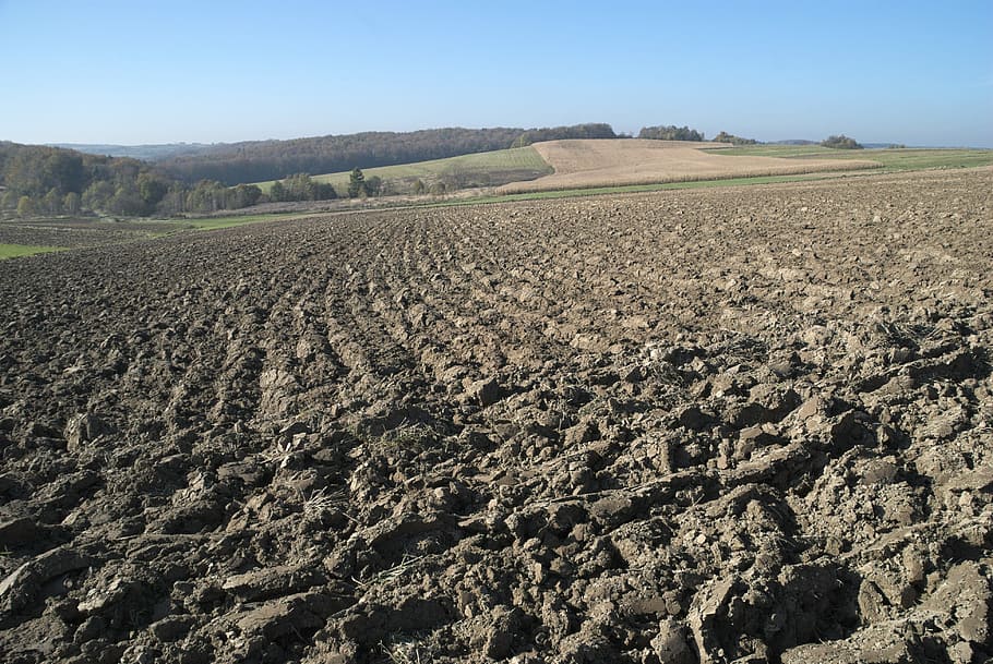 Field, Plowed, Soil, Earth, Furrow, the cultivation of, tillage HD wallpaper