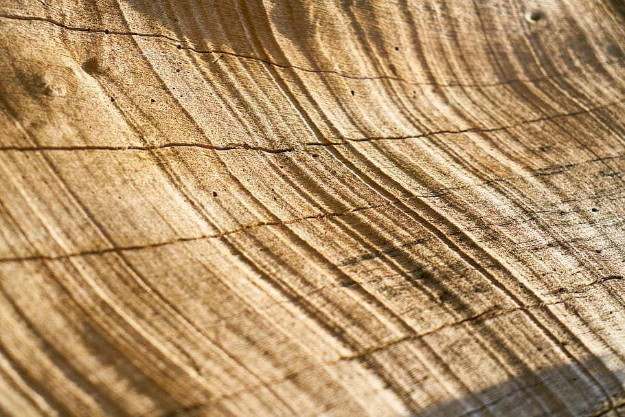 untitled, abstract, brown, tree, timber, pattern, texture, backgrounds HD wallpaper