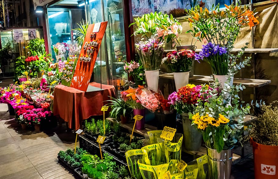 assorted-color petaled flowers, flower shop, night, street, downtown, HD wallpaper