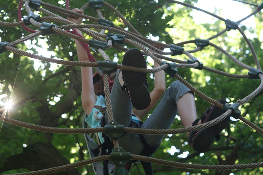 person hanging on brown rope at daytime, climbing forest, network