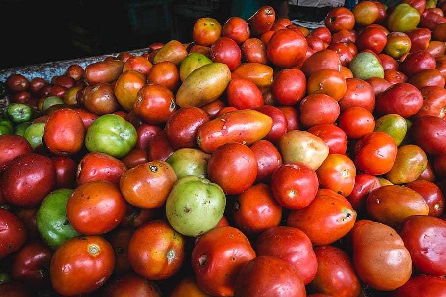 Fresh tomatoes at a farmers market, red, food, freshness, fruit, HD wallpaper