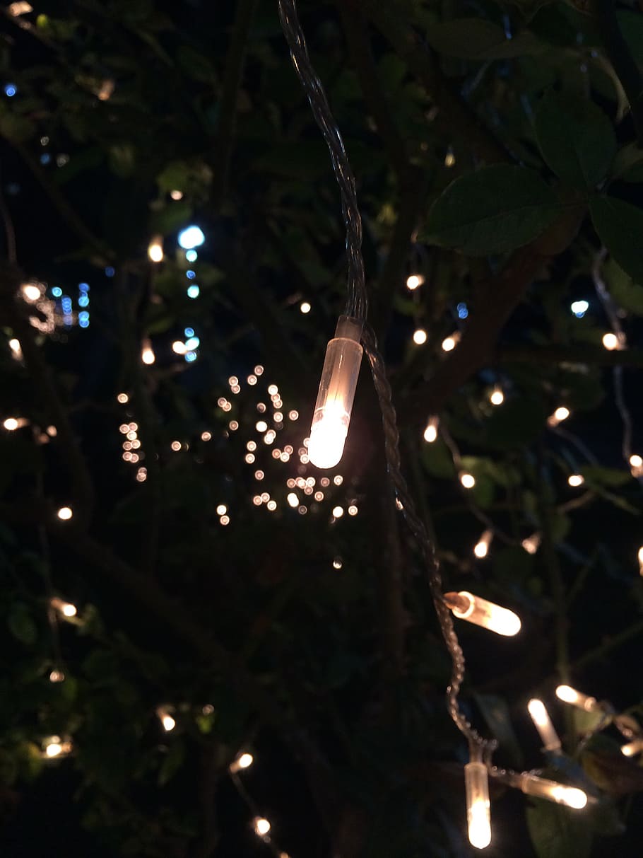 light, night, year, new, celebration, illuminated, decoration HD wallpaper