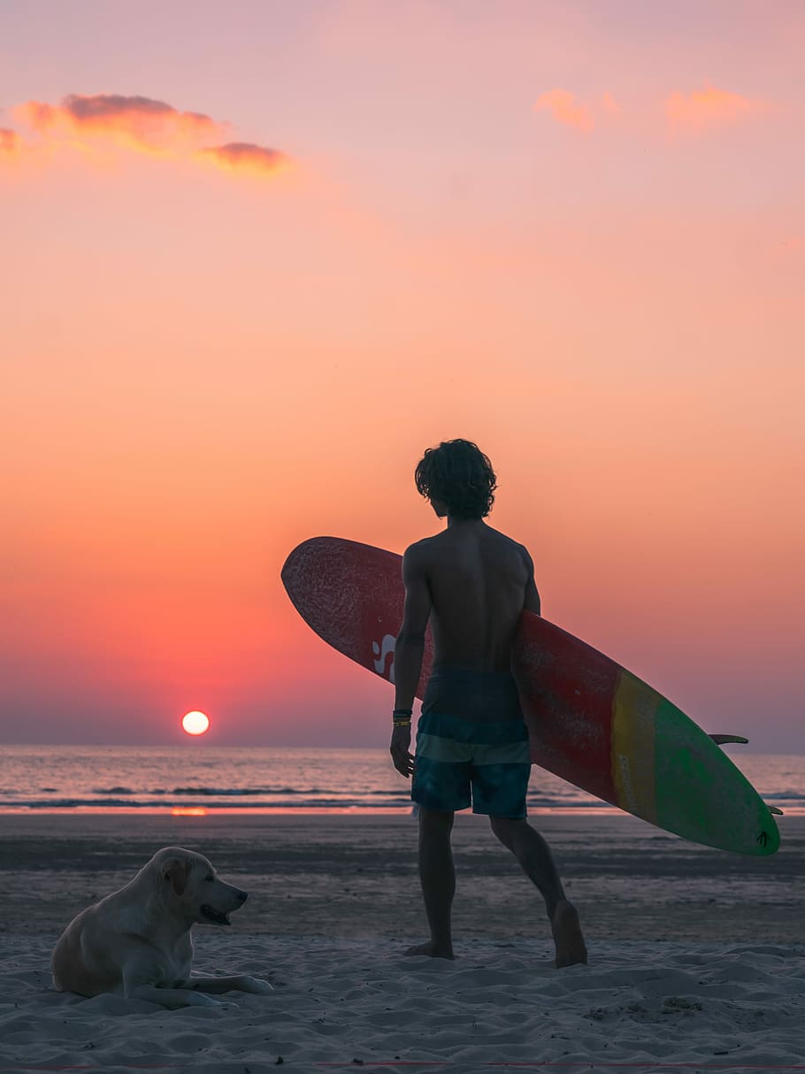 man walking towards beach with surfboard near yellow Labrador retriever laying on beach sand, walking man wearing blue and white striped board shorts holding multicolored surfboard near lying adult yellow Labrador retriever on seashore across calm body of water during sunset