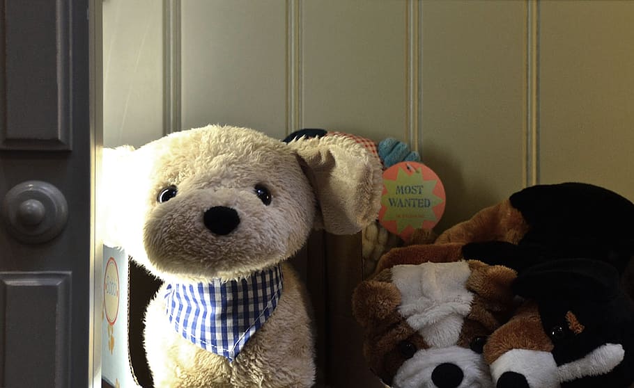 teddy, bear, bears, stuffed animals, teddy bear, toys, children toys HD wallpaper