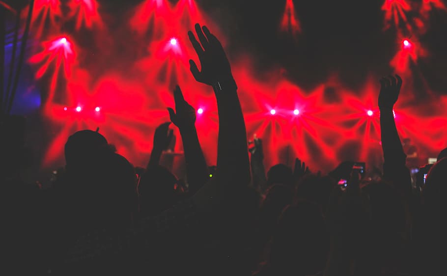 silhouette of group of people inside the bar, gathering of people during a concert HD wallpaper