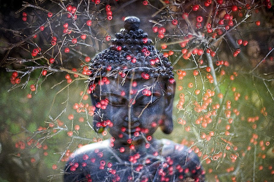 buddha, leaf, religion, statue, buddhist, oriental, buddhism HD wallpaper
