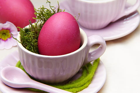 pink egg on white ceramic teacup, easter egg, red, background HD wallpaper