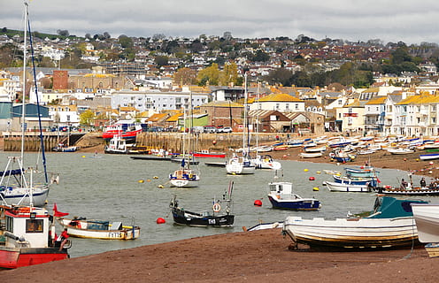 Teignmouth, Devon, Water, Coast, Sea, beach, sand, coastal HD wallpaper
