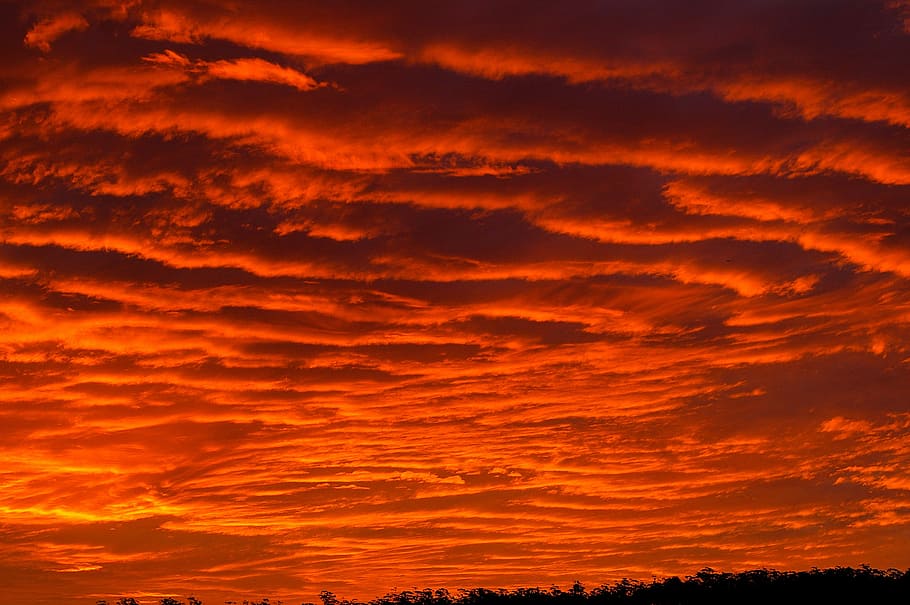 Sunset, Red, Orange, Clouds, sky, grey, firey, horizon, orange color HD wallpaper