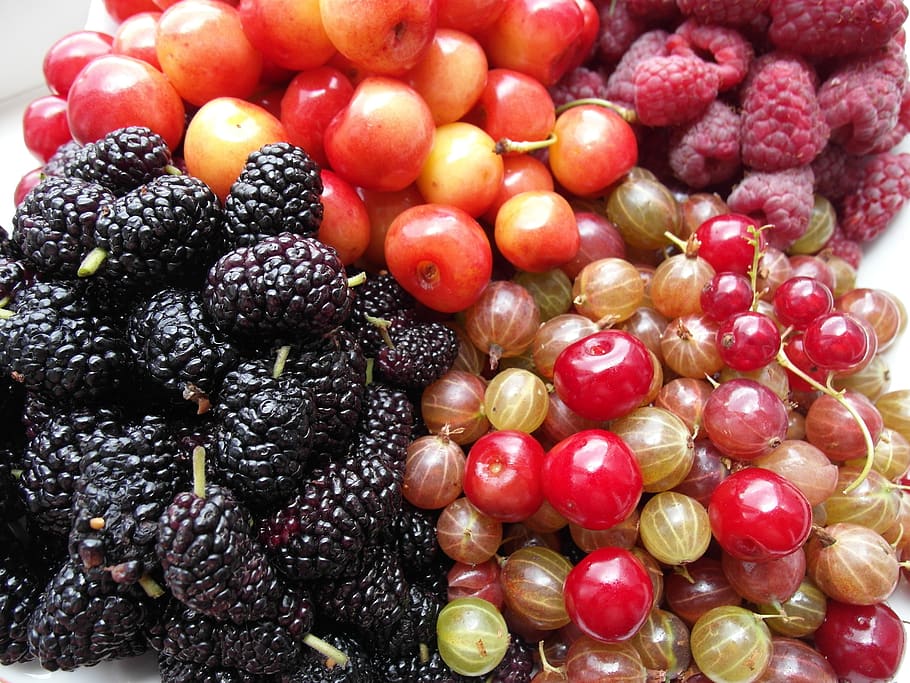 fruit, raspberries, mulberry, food, food and drink, healthy eating HD wallpaper