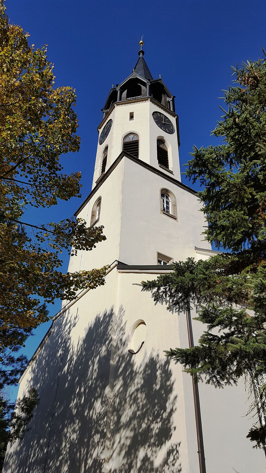 tower, church, clock, blue, low angle view, tree, sky, architecture HD wallpaper