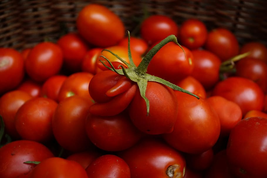 Tomatoes, Red, Special, Form, Crop, Food, vegetables, food and drink HD wallpaper