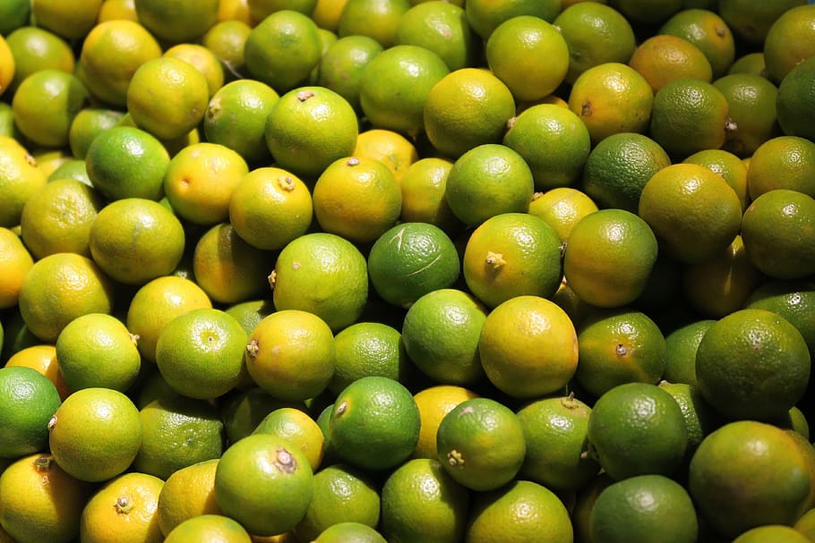 fruit, plant, citrus, green color, healthy eating, food and drink HD wallpaper