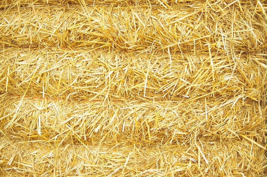 hay, straw, bale, harvest, nature, background texture, full frame