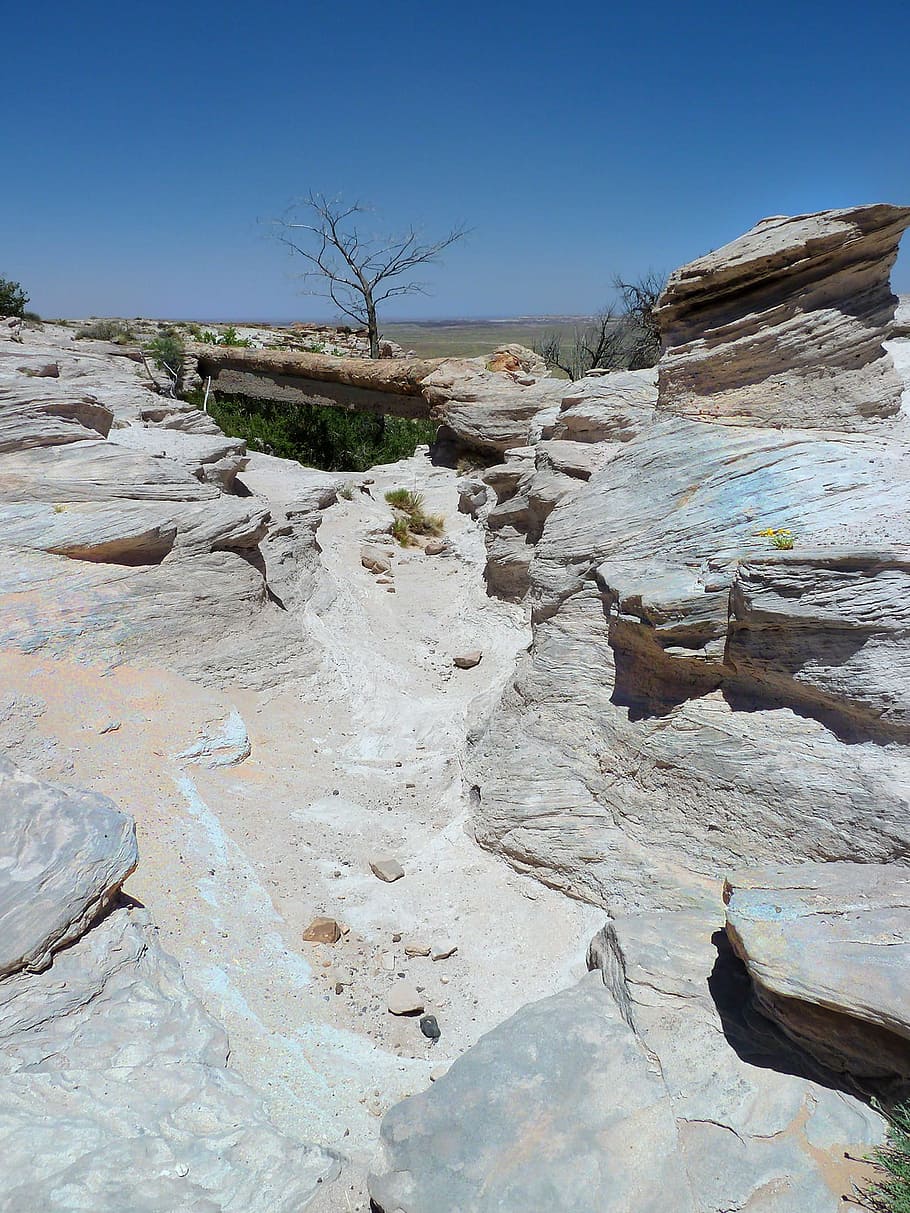 Petrified Forest National Park, petrified wood, hot, dry, bridge, HD wallpaper