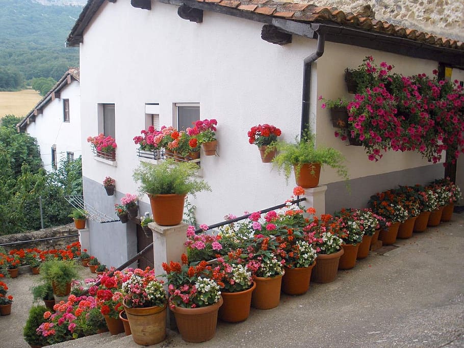 white concrete house surrounded by flower pots, spain, home, flowers, HD wallpaper