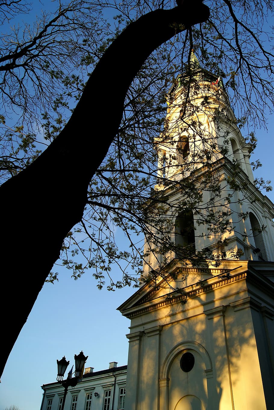 the bell tower, tree, view, architecture, sky, sunset, nature HD wallpaper
