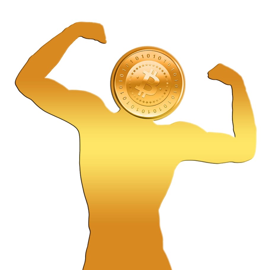 gold-colored Bit coin head human artwork, bitcoin, strength, forward