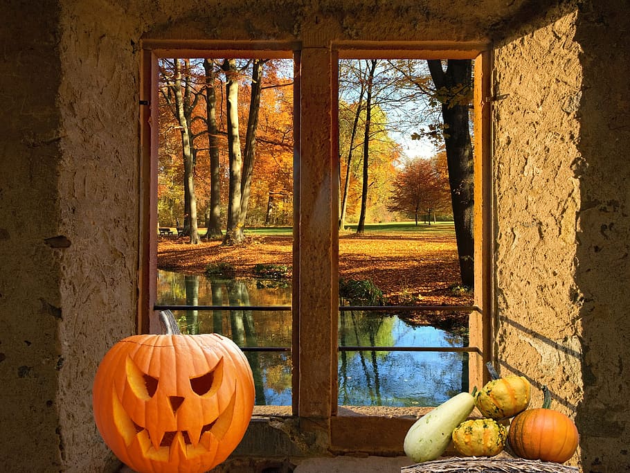 brown wood-framed glass windows, autumn, pumpkin, window sill HD wallpaper
