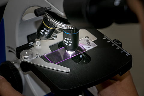 technology, microscope, research, microbiology, team, lab, analysis HD wallpaper