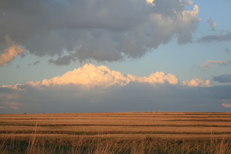 field, flat, outstreched, deep ochre, grass, glow, sky, clouds, HD wallpaper