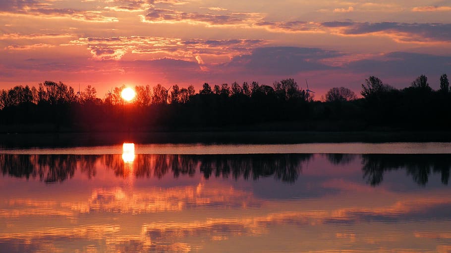 silhouette of trees near body of water, sunset, lake, waters HD wallpaper