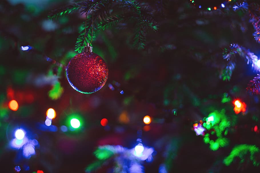 tilt-shift view of red Christmas bauble, advent, background HD wallpaper
