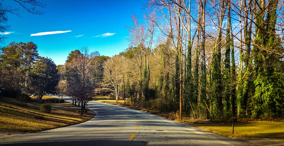 atlanta, trees, woods, plant, road, direction, the way forward HD wallpaper