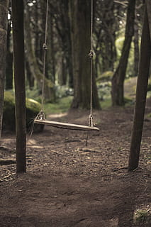 brown wooden swing surrounded with trees, brown wooden swing between gray posts HD wallpaper