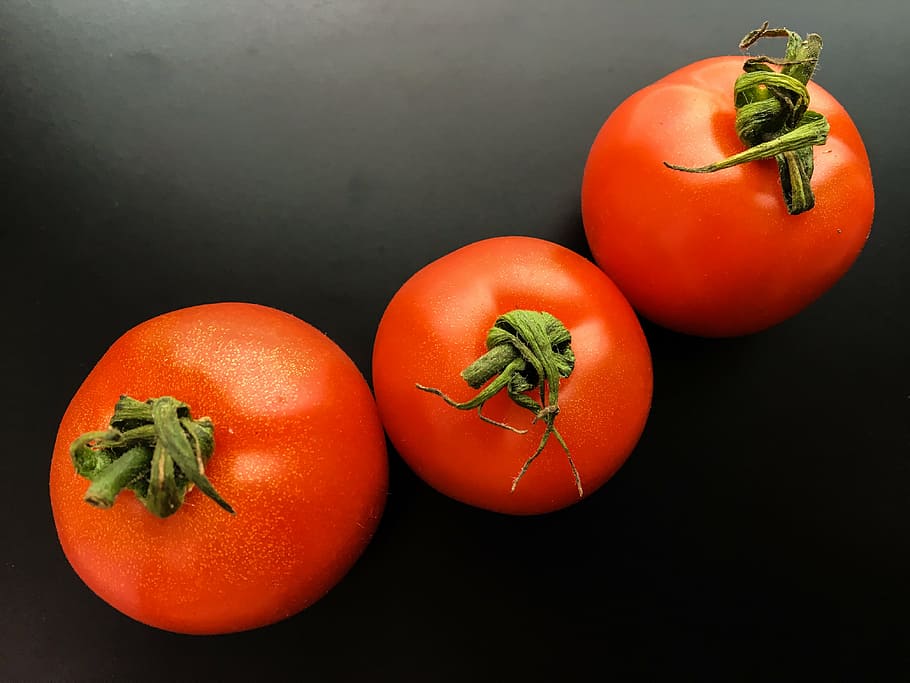 tomato, fruit, vegetable, fresh, red, food, healthy, organic HD wallpaper