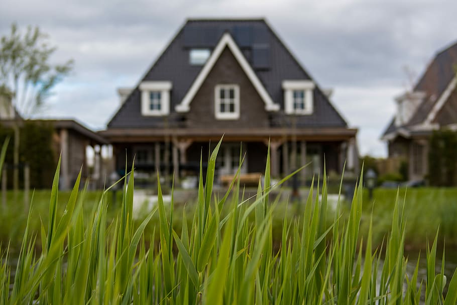 white and black house near to pond, selective focus photography of green grass near house HD wallpaper