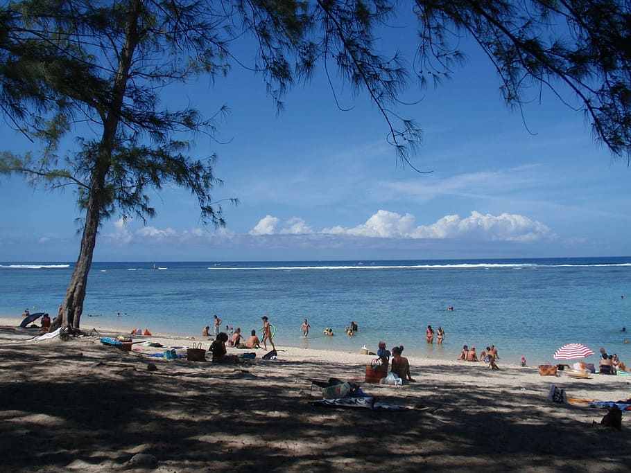meeting, beach, lagoon, water, sea, sky, land, tree, group of people HD wallpaper